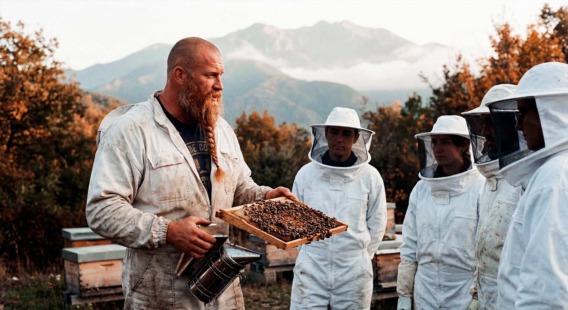 initiation-apiculture-pyrenees-orientales Initiation apiculture Pyrénées Orientales
